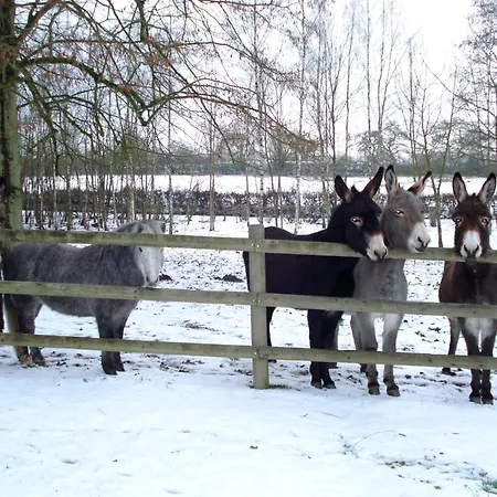 Hotell Chateau De La Motte