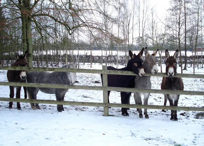 Hotell Chateau De La Motte
