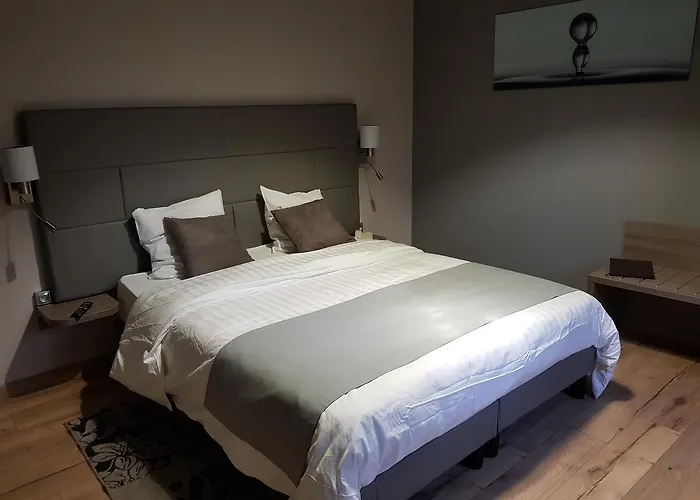 Hotel Logis - Chateau De La Motte - & Restaurant 3*